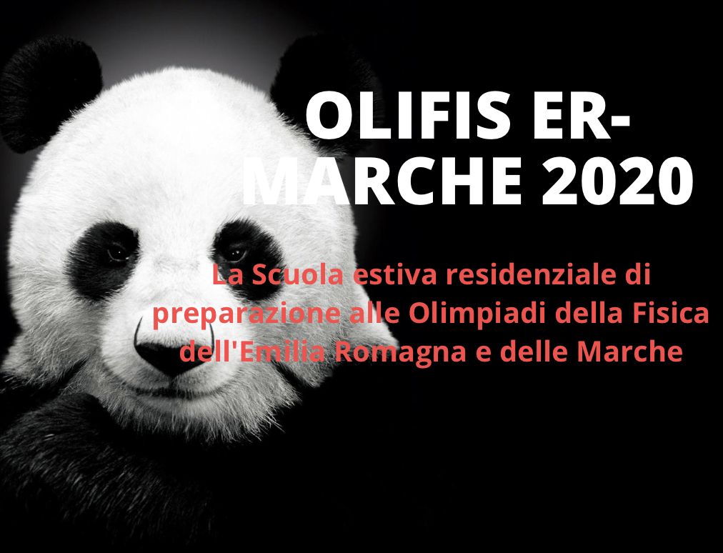 OLIFIS ER Marche 2020: Panda