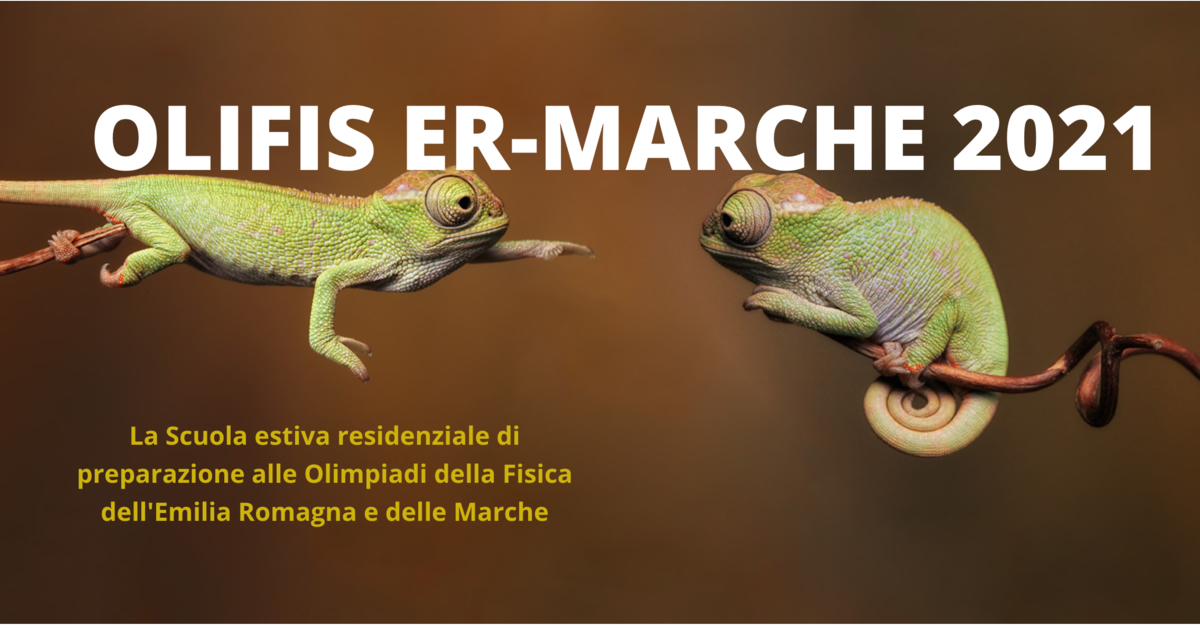 OLIFIS ER Marche 2021: due camaleonti su rami