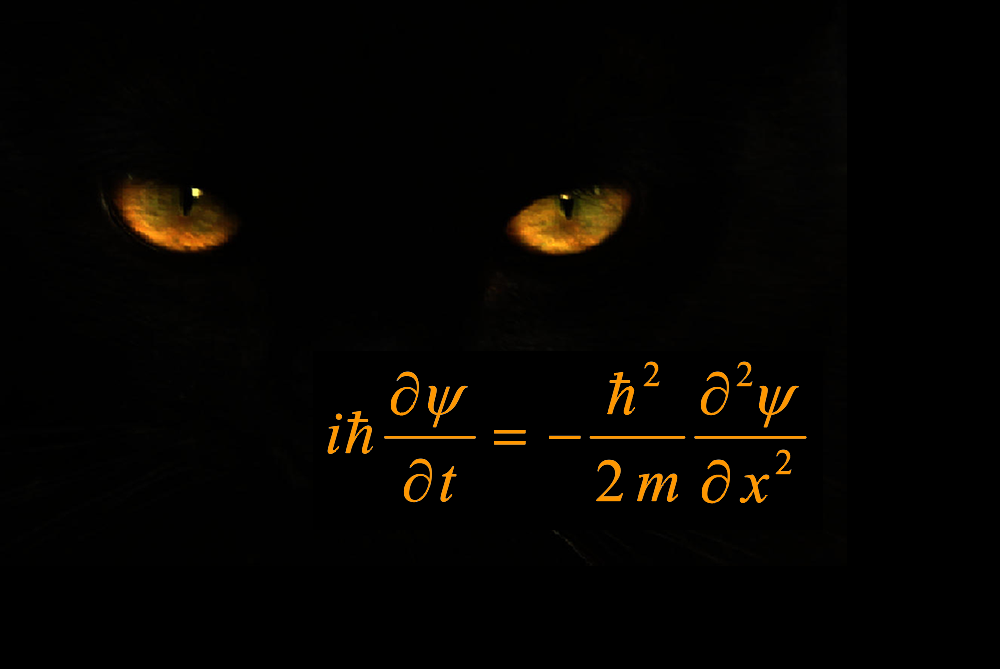 occhi di gatto e equazione di Schrödinger