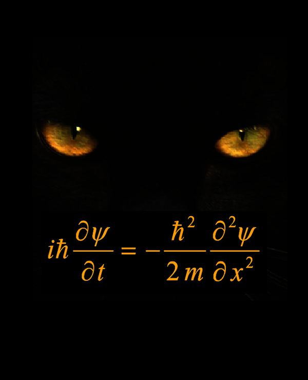 occhi gatto e equazione di Schrödinger