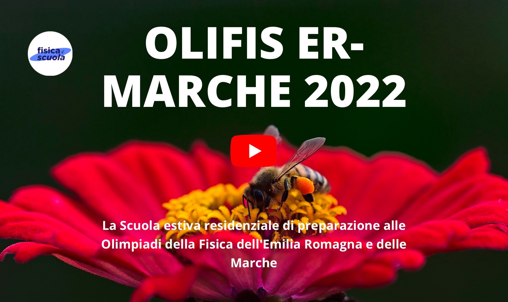 OLIFIS ER Marche 2022: ape su fiore (apre link su yotube)